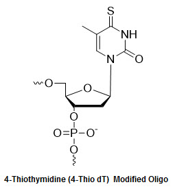 Bio-Synthesis Inc. Oligo Structure